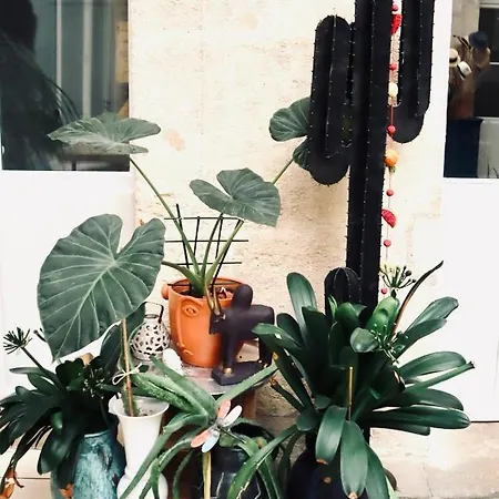 Koko & Baobab