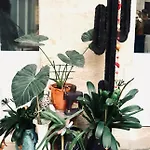 Koko & Baobab