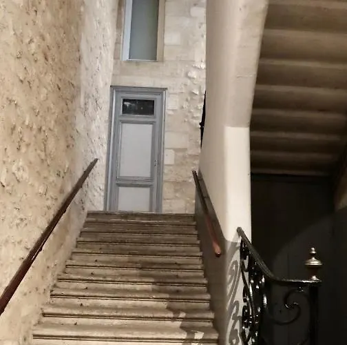 Koko & Baobab 보르도